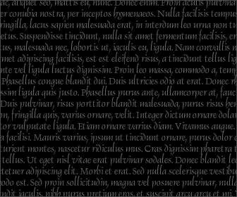 Notícia 01
